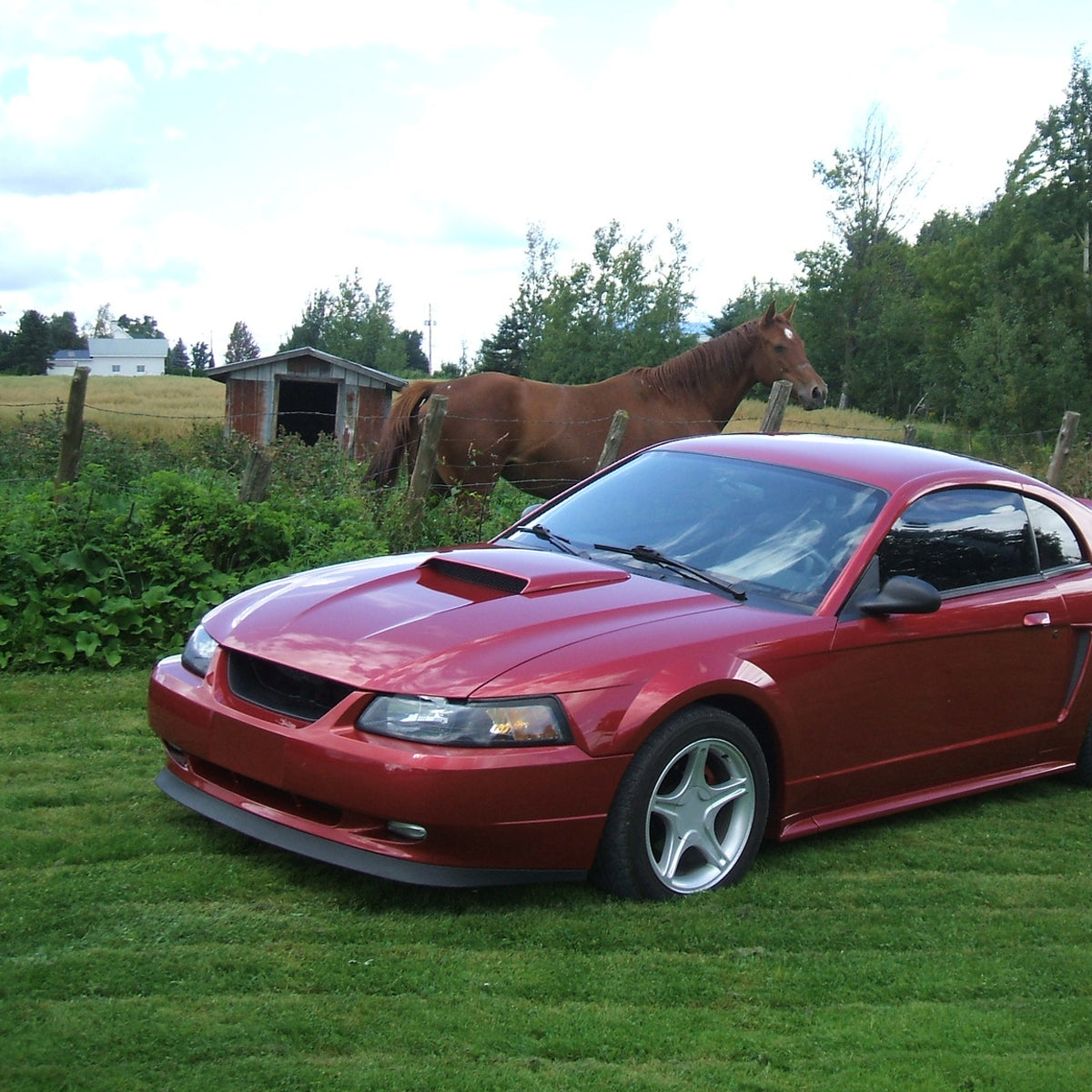 1999-2004 Ford Mustang New Edge ABS Bumper Lip